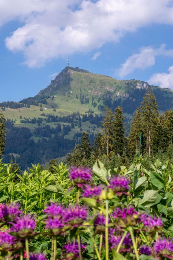 Landhaus Barbara Kitzbühel Exterior foto